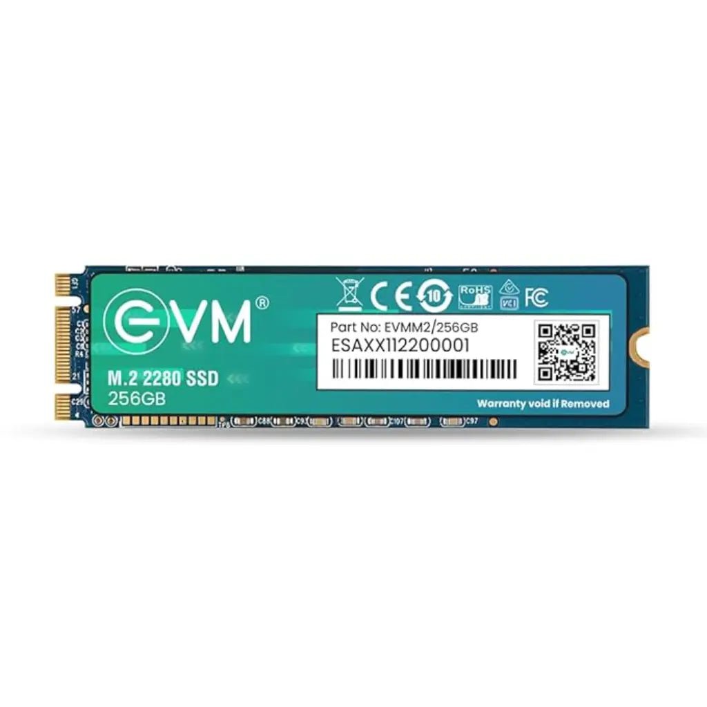 EVM 256GB M.2 2280 SATA III Internal SSD with 3D TLC NAND Technology