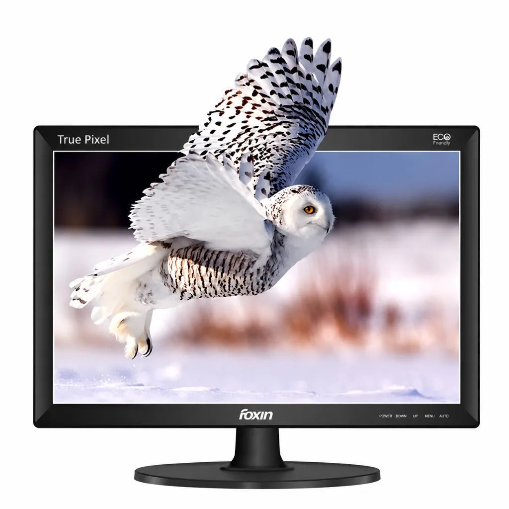FOXIN FM1540 15.1-Inch LED Monitor with HDMI and VGA Connectivity